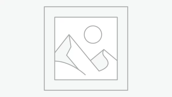 Premium apartments